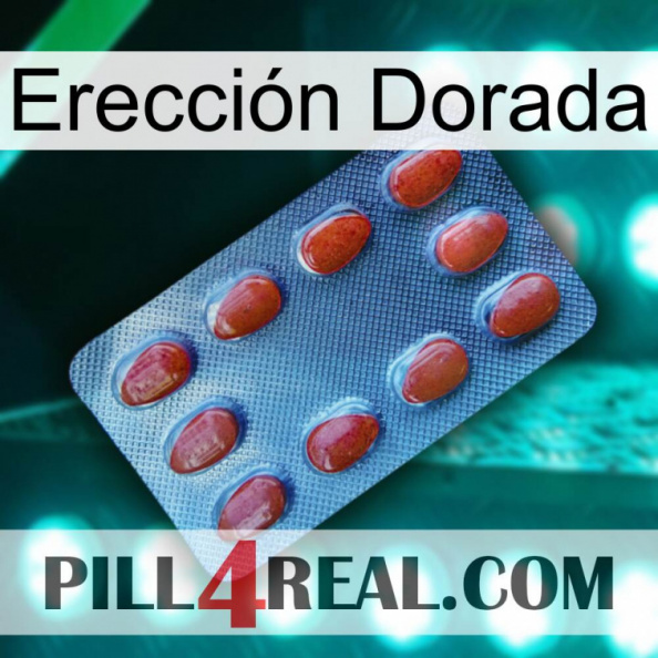 Erección Dorada 06.jpg